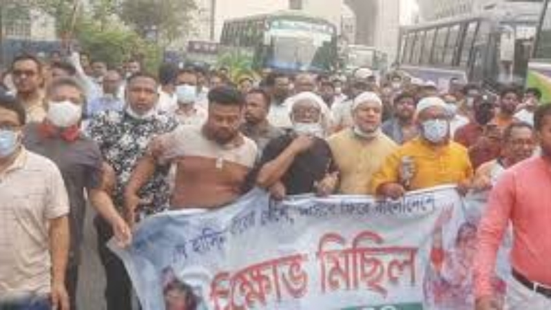 আ.লীগের মিছিলে গেলেই দেওয়া হচ্ছে ৫ হাজার টাকা!